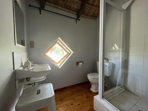 The Little Thatch Cottage في غرايتون: حمام مع مرحاض ومغسلة ودش