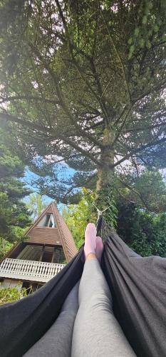 una persona de pie en una hamaca mirando hacia un árbol en A-Frame am Ochsenkopf, en Mehlmeisel
