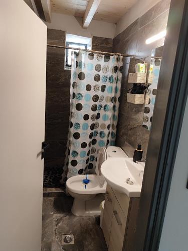 a bathroom with a toilet and a sink and a shower at Tommy's Guest House in Konitsa