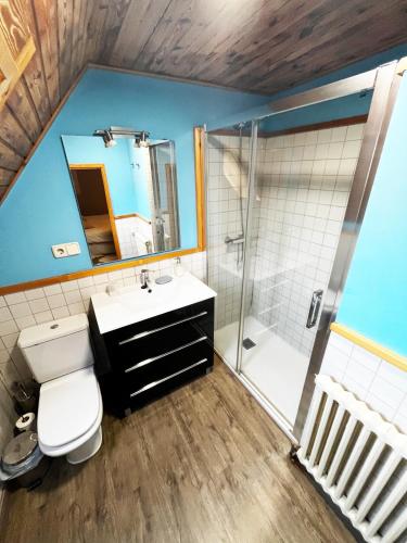 a bathroom with a toilet and a sink and a shower at SNÖ Casa Pucurull in Salardú