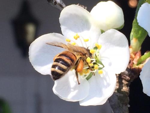 Fotografie z fotogalerie ubytování Stilvolle, stadtnahe Ferienwohnung mit Alpensicht v destinaci Uettligen