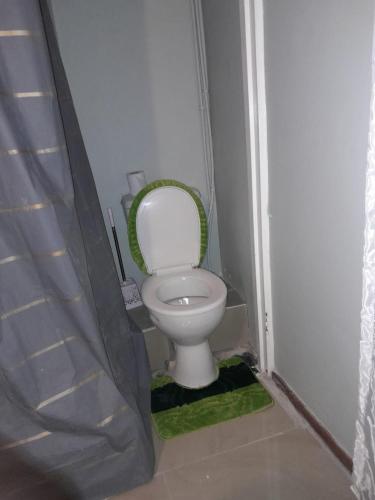 a bathroom with a toilet with a shower curtain at Uptown Inn GuestHouse in Parys