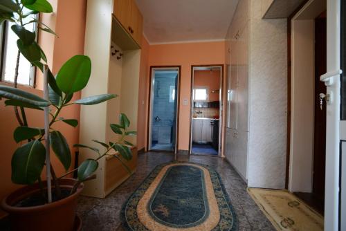 Gallery image of President Holiday home in Utjeha