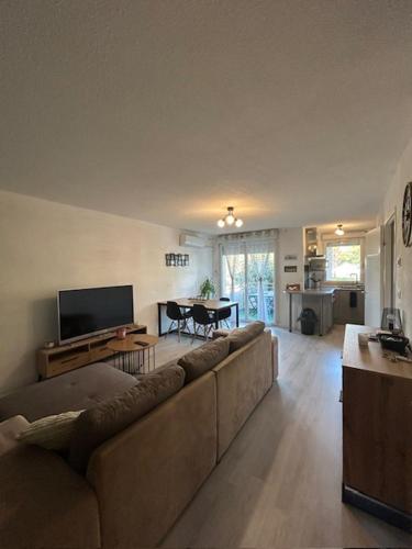 a living room with a couch and a tv at T2 cosy, calme et 2 Parking privé avec Piscine in Toulouse
