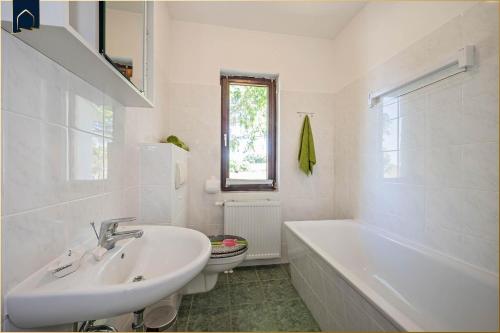 a bathroom with a sink and a tub and a toilet at Ferienhaus Mellenthin Ferienhaus Mellenthin in Mellenthin