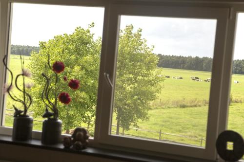 Villa het Bascour – Photos 4