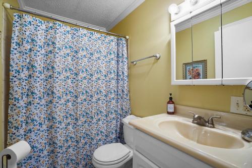 een badkamer met een douchegordijn en een wastafel bij Pennington Place Lookout Mtn in Rising Fawn