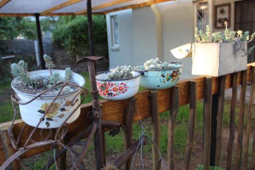 Vườn quanh Lion of Judah