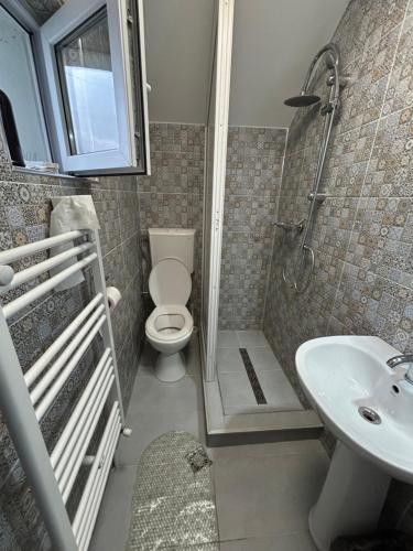 une salle de bain avec toilettes, douche et lavabo dans l'établissement Pensiunea Casa Rofo, à Nima