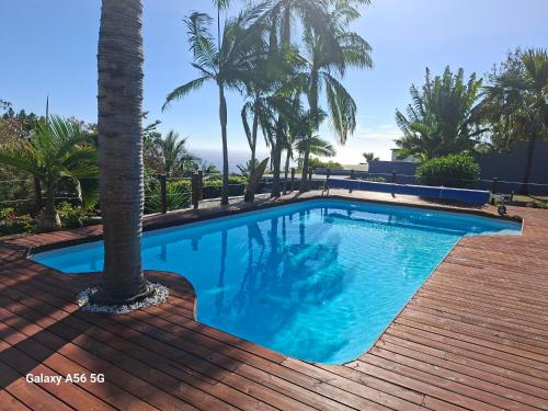 a swimming pool with a palm tree on a wooden deck at Ti kaz Orion in Les Avirons