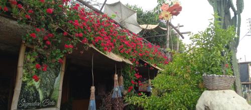 Une bande de fleurs rouges sur le côté d'un bâtiment dans l'établissement The Haven 9 - Private group stay in Naivasha, à Munyu