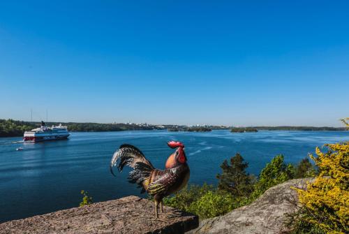 Příroda nedaleko hotelu