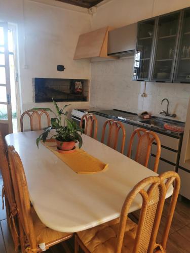 a kitchen with a table with a potted plant on it at La Abuelita in Rocha