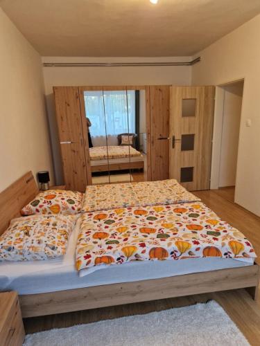 Apartman Kováčová
