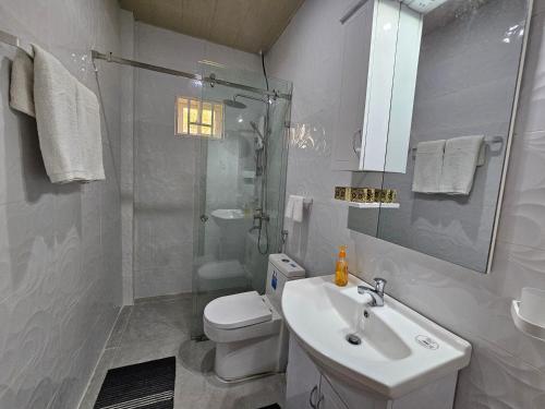a bathroom with a sink and a toilet and a shower at Gloria Beach House - Baler in Baler