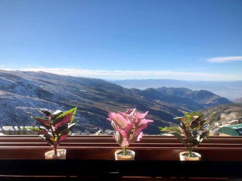 Acogedor dúplex a pie de pista