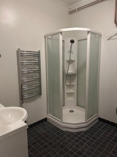 a bathroom with a shower with a toilet and a sink at 2 rok i Söderfors wärdshus in Söderfors