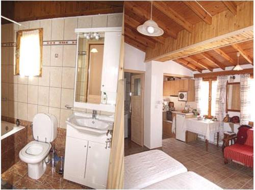 a bathroom with a toilet and a sink in a room at Lela's Kaptani Studio in Mithymna