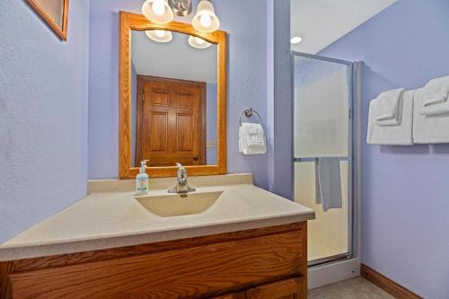 Arbor VitaeにあるRed Arbor Retreat in Arbor Vitae WIの洗面台と鏡のあるバスルーム