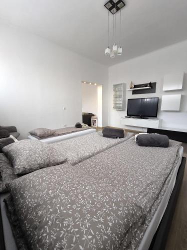 En eller flere senge i et værelse på Lend Grand Apartment