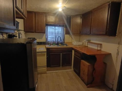 Rustic Cozy Cabin Getaway Close to Town في Gladwin: مطبخ صغير مع دواليب خشبية ومغسلة