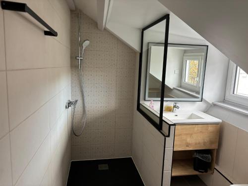 a bathroom with a shower and a sink and a mirror at Petit cocon avec vue sur mer in Dinard