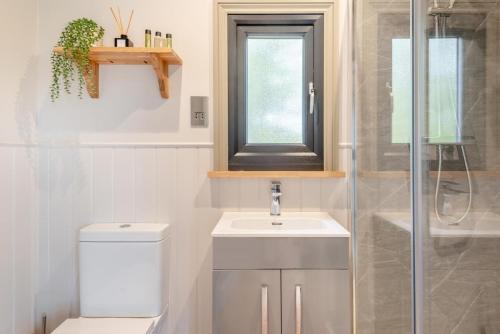 ein Badezimmer mit Toilette, Waschbecken und Dusche in der Unterkunft 1 Bed in Hawton oc-d33741 in Cotham