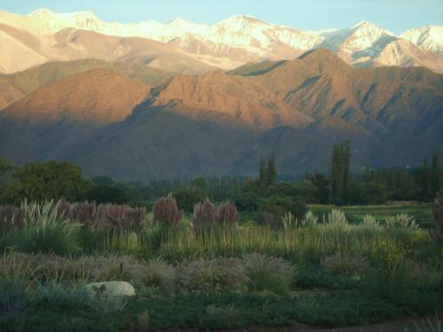 a view of a mountain range with a field of plants at La Merced Del Alto in Cachí
