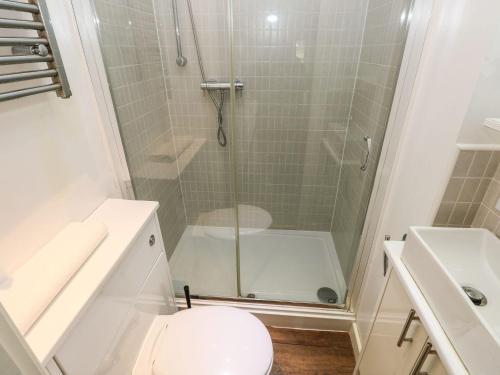 a bathroom with a shower and a toilet and a sink at Knap Cottage in Walton East