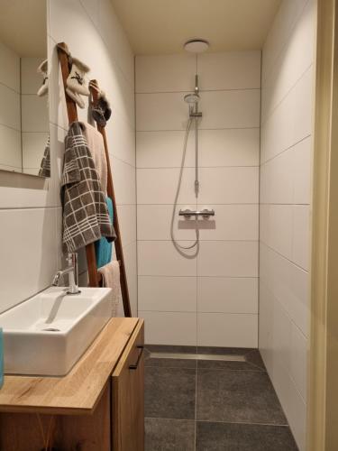 a bathroom with a sink and a shower at De Oude Bakkerij in Onderdendam