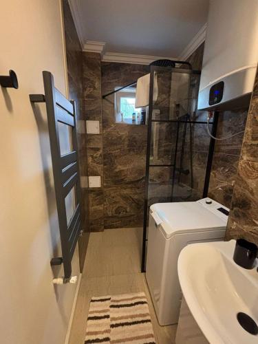 a bathroom with a shower and a toilet and a sink at Elena Apartament in Suceava