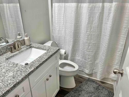 a bathroom with a sink and a toilet with a shower curtain at Modern 2bd 2ba - Near I75, No Steps, Free Wifi in Richmond