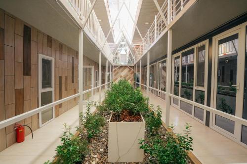 un couloir vide avec des plantes dans un bâtiment dans l'établissement ИксаОтель, à Chimkent