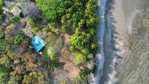 an aerial view of a house on a beach with trees at Hidden Coast villa Frangipani Ocean & Jungle in Manzanillo