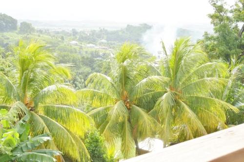 Paysage naturel près de l'appartement