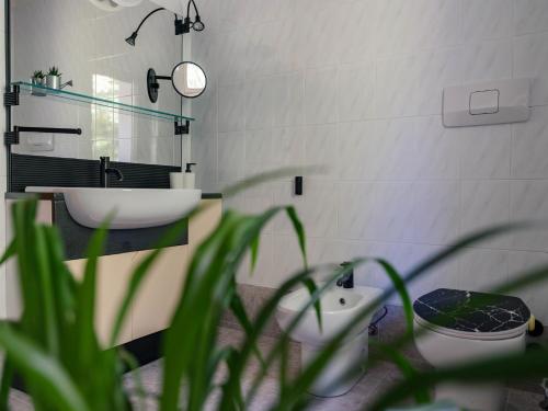 a bathroom with a sink and a toilet and a mirror at Symphony Home in Pergine Valsugana