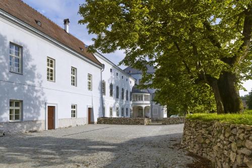 Balónový zámek Radešín