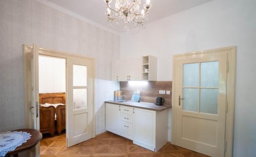 Kuchyň nebo kuchyňský kout v ubytování Balónový zámek Radešín