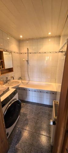 a bathroom with a sink and a tub and a toilet at Landhaus auf der Alm in Langschlag