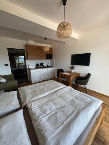 TV/trung tâm giải trí tại Apartment Corso Harrachov