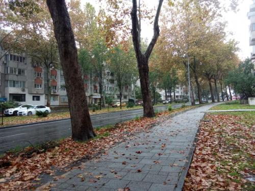 Gallery image of 1BR Budget Apartment near Beach in Constanţa