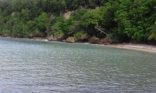 a body of water with a beach and trees at Appartement charmant au Gosier avec jardin de 68 m² in Mare Gaillard