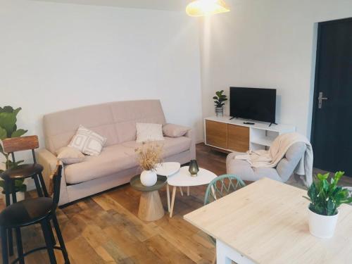 TV a/nebo společenská místnost v ubytování Sambre & Nature