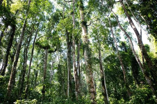 Landskap semula jadi dekat dengan resort
