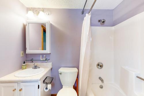 a bathroom with a white toilet and a sink at Champagne Supernova & Ludlow Lax in Ludlow