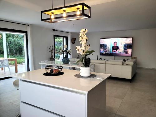 TV a/nebo společenská místnost v ubytování Villa raffinée, piscine, jardin, proche Cassis et Marseille