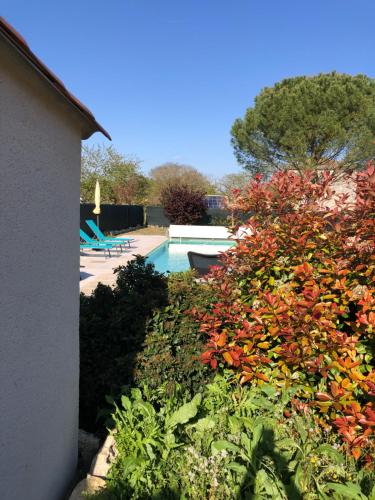 Piscina en o cerca de Les Gites des Chats - réservation de La maison des chats et du Loft de la Maison des chats