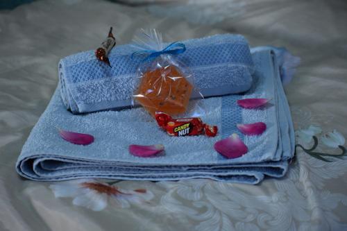a blue towel with pink hearts and toys on it at Manilla Vendégháza in Kaposvár