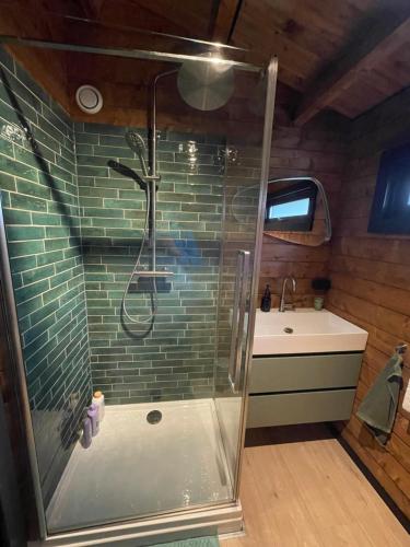 een badkamer met douche en wastafel bij NIEUW Bed & Breakfast Puur Poortugaal in Poortugaal