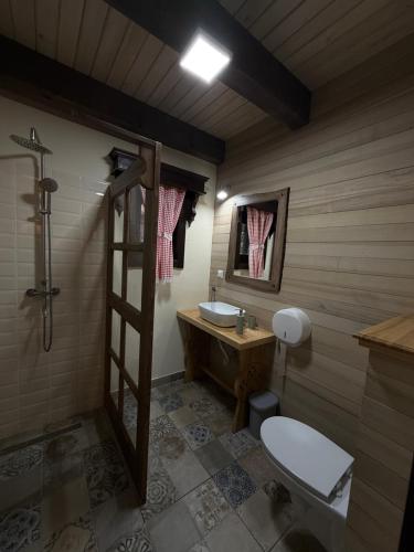 een badkamer met toilet en wastafel bij Căsuțele Craiului in Zărneşti